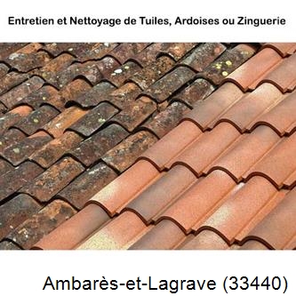 démoussage Ambarès-et-Lagrave-33440