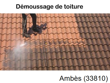 Rénovation démoussage et nettoyage en gironde Ambès-33810