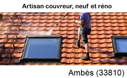 Anti-mousse sur toiture Ambès-33810