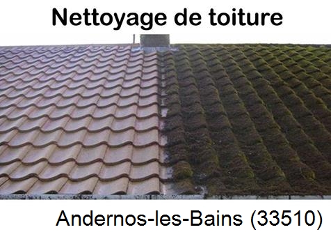 Travaux démoussage toiture Andernos-les-Bains-33510