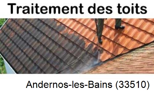 Entreprise de peinture toiture Andernos-les-Bains-33510