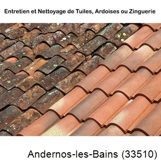 démoussage Andernos-les-Bains-33510