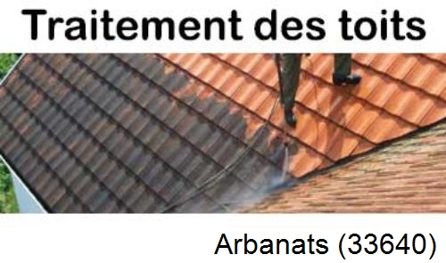 Entreprise de peinture toiture Arbanats-33640