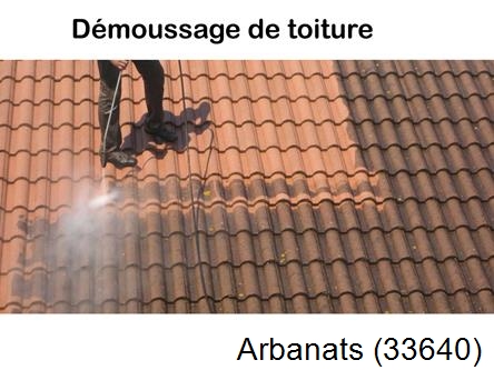 Rénovation démoussage et nettoyage en gironde Arbanats-33640