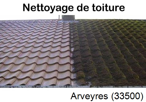 Travaux démoussage toiture Arveyres-33500