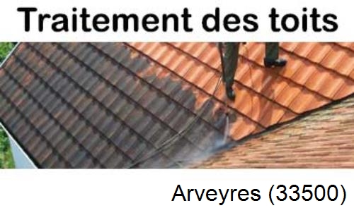 Entreprise de peinture toiture Arveyres-33500