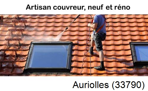 Anti-mousse sur toiture Auriolles-33790