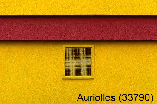 Peintre 33 Auriolles-33790