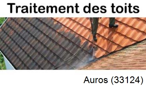 Entreprise de peinture toiture Auros-33124