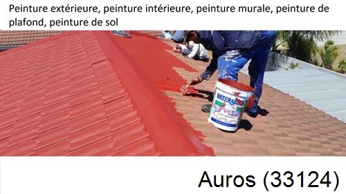 Peinture exterieur Auros-33124
