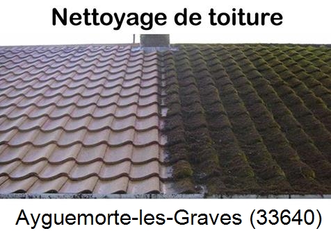 Travaux démoussage toiture Ayguemorte-les-Graves-33640