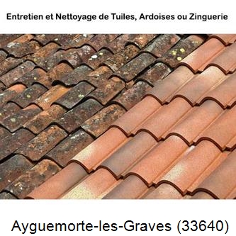 démoussage Ayguemorte-les-Graves-33640