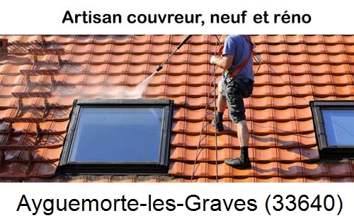 Anti-mousse sur toiture Ayguemorte-les-Graves-33640