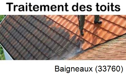 Entreprise de peinture toiture Baigneaux-33760