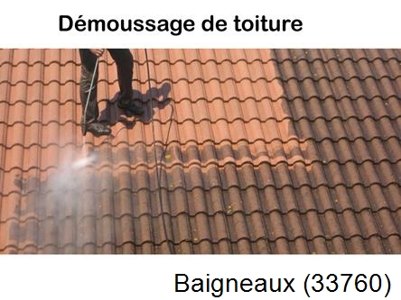 Rénovation démoussage et nettoyage en gironde Baigneaux-33760