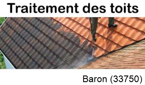 Entreprise de peinture toiture Baron-33750