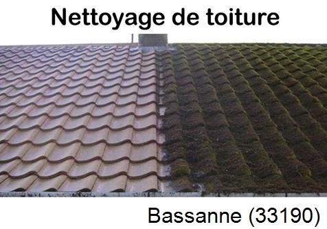 Travaux démoussage toiture Bassanne-33190