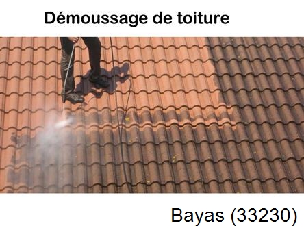 Rénovation démoussage et nettoyage en gironde Bayas-33230