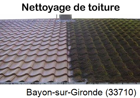Travaux démoussage toiture Bayon-sur-Gironde-33710
