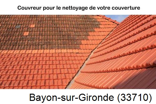 Avant après démoussage Bayon-sur-Gironde-33710