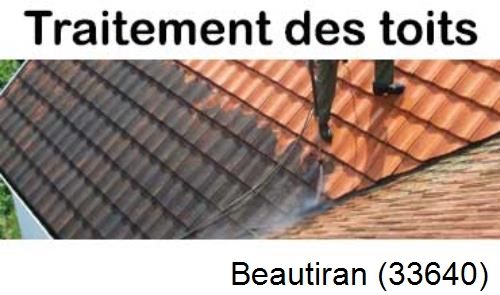 Entreprise de peinture toiture Beautiran-33640