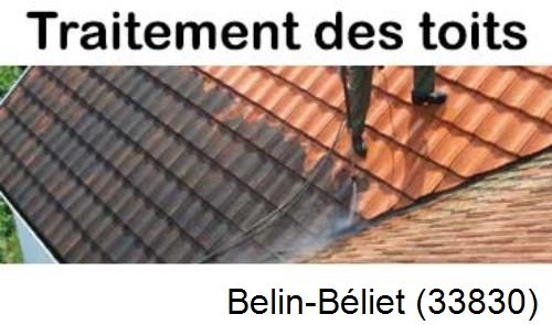 Entreprise de peinture toiture Belin-Béliet-33830