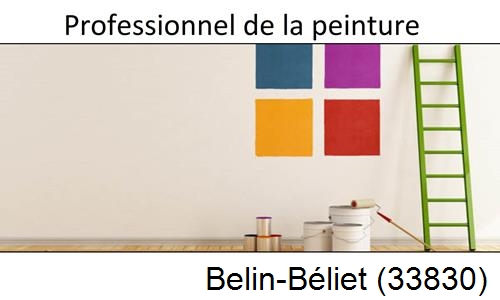 Entreprise de peinture en Gironde Belin-Béliet-33830