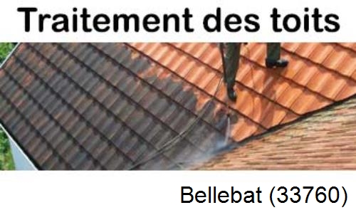 Entreprise de peinture toiture Bellebat-33760