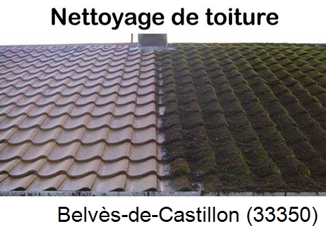 Travaux démoussage toiture Belvès-de-Castillon-33350