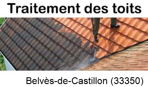 Entreprise de peinture toiture Belvès-de-Castillon-33350