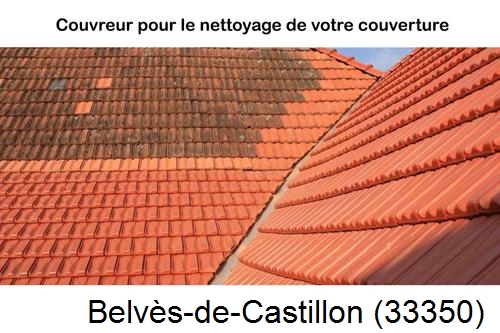 Avant après démoussage Belvès-de-Castillon-33350