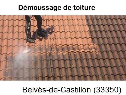 Rénovation démoussage et nettoyage en gironde Belvès-de-Castillon-33350
