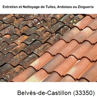 démoussage Belvès-de-Castillon-33350