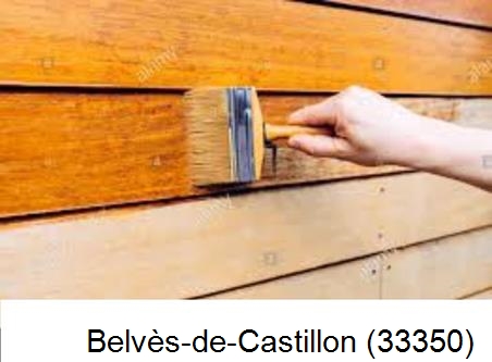 Peintre à Belvès-de-Castillon-33350