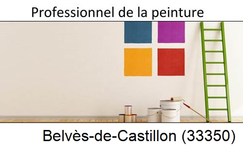 Entreprise de peinture en Gironde Belvès-de-Castillon-33350