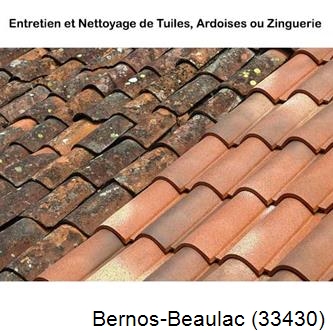 démoussage Bernos-Beaulac-33430
