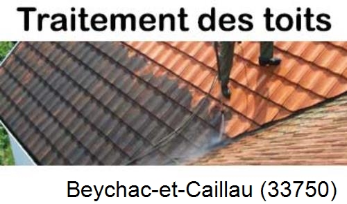 Entreprise de peinture toiture Beychac-et-Caillau-33750