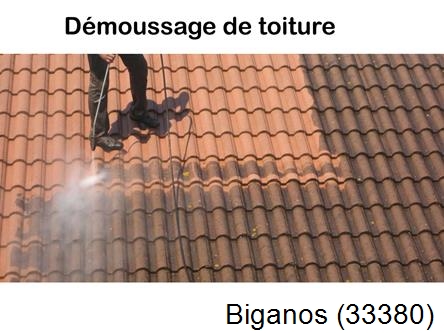 Rénovation démoussage et nettoyage en gironde Biganos-33380