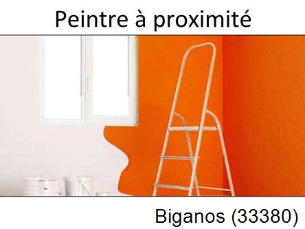 artisan peintre à Biganos-33380