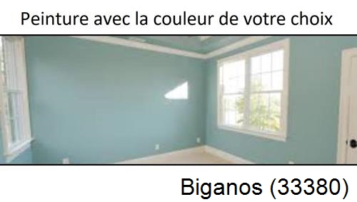 Peintre à Biganos-33380