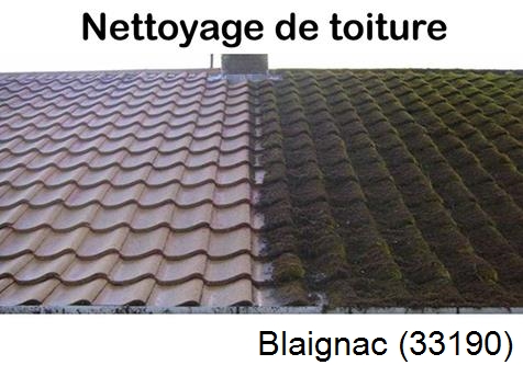 Travaux démoussage toiture Blaignac-33190
