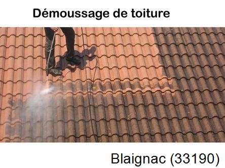 Rénovation démoussage et nettoyage en gironde Blaignac-33190
