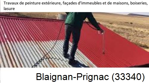 Peintre pro 33 Blaignan-Prignac-33340