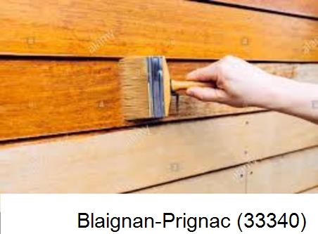 Peintre à Blaignan-Prignac-33340