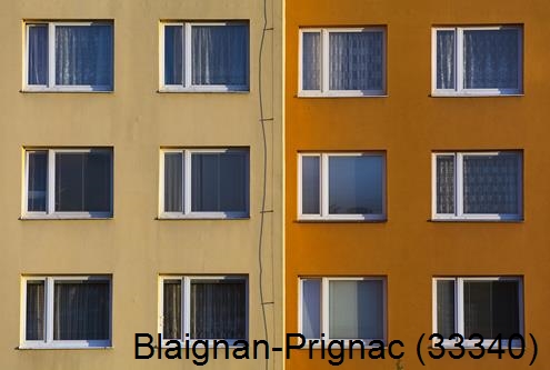 Artisan peintre Blaignan-Prignac-33340