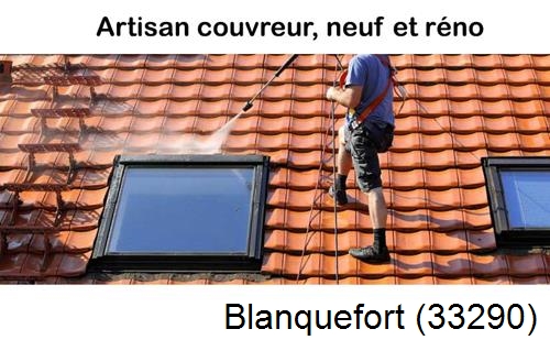 Anti-mousse sur toiture Blanquefort-33290