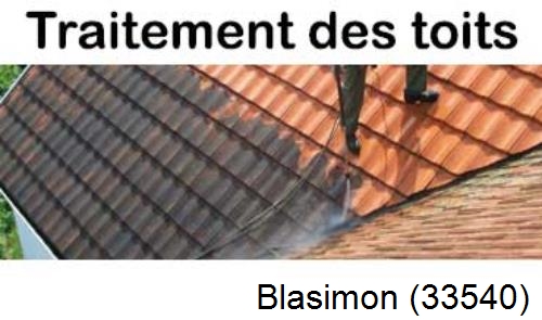 Entreprise de peinture toiture Blasimon-33540