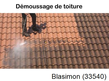 Rénovation démoussage et nettoyage en gironde Blasimon-33540