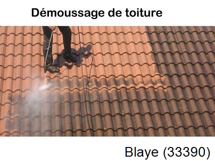 Rénovation démoussage et nettoyage en gironde Blaye-33390