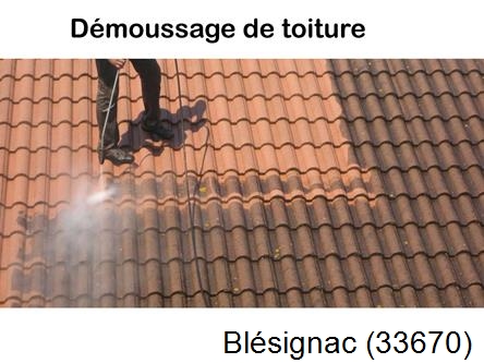 Rénovation démoussage et nettoyage en gironde Blésignac-33670